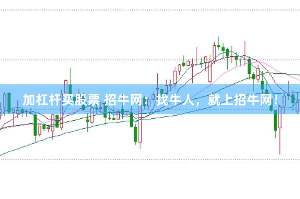 加杠杆买股票 招牛网：找牛人，就上招牛网！