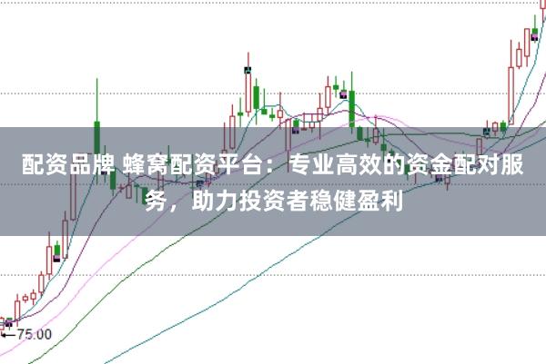 配资品牌 蜂窝配资平台：专业高效的资金配对服务，助力投资者稳健盈利