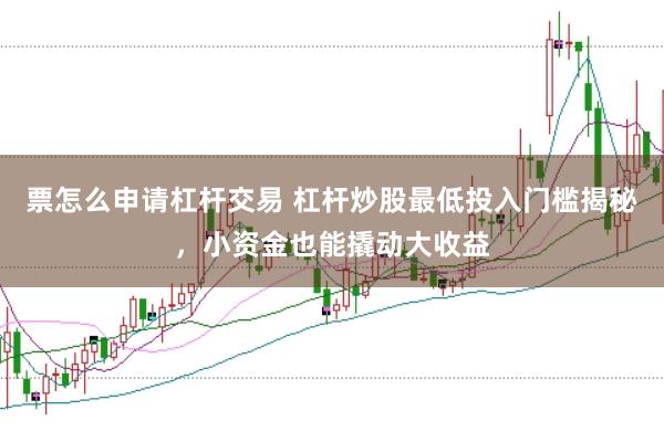 票怎么申请杠杆交易 杠杆炒股最低投入门槛揭秘，小资金也能撬动大收益