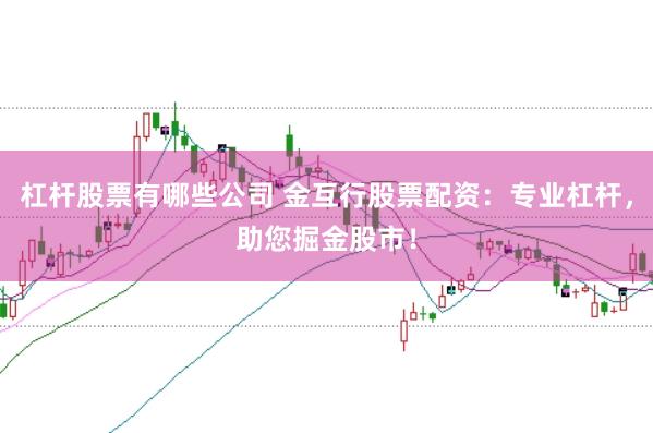 杠杆股票有哪些公司 金互行股票配资：专业杠杆，助您掘金股市！
