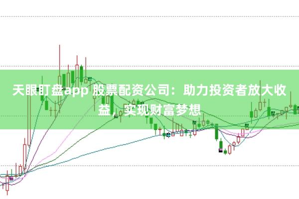 天眼盯盘app 股票配资公司：助力投资者放大收益，实现财富梦想