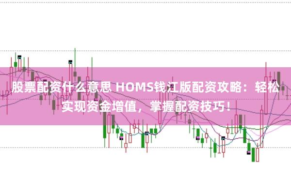 股票配资什么意思 HOMS钱江版配资攻略：轻松实现资金增值，掌握配资技巧！