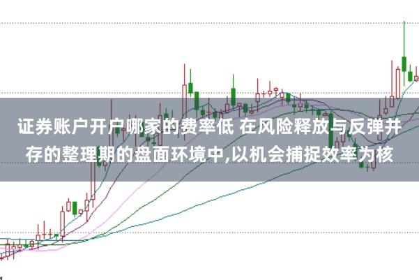 证券账户开户哪家的费率低 在风险释放与反弹并存的整理期的盘面环境中,以机会捕捉效率为核