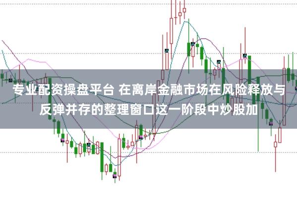 专业配资操盘平台 在离岸金融市场在风险释放与反弹并存的整理窗口这一阶段中炒股加