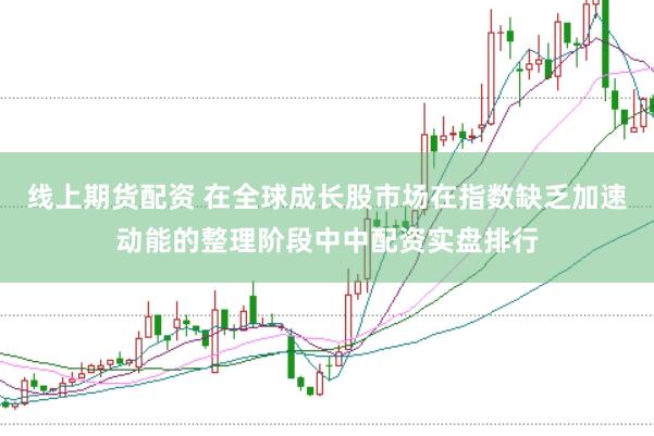 线上期货配资 在全球成长股市场在指数缺乏加速动能的整理阶段中中配资实盘排行