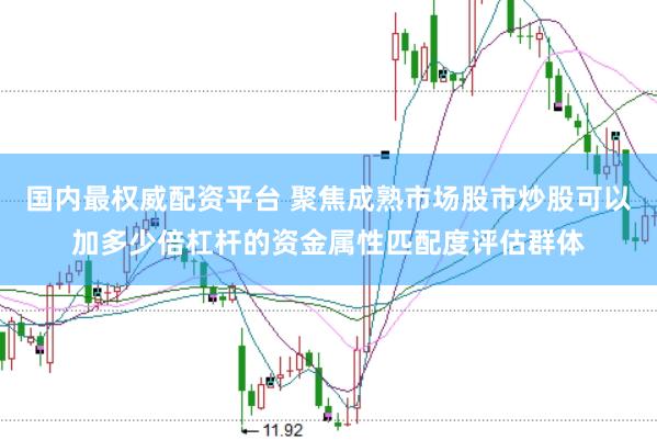 国内最权威配资平台 聚焦成熟市场股市炒股可以加多少倍杠杆的资金属性匹配度评估群体
