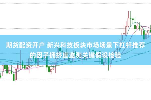 期货配资开户 新兴科技板块市场场景下杠杆推荐的因子拥挤度监测关键假设检验