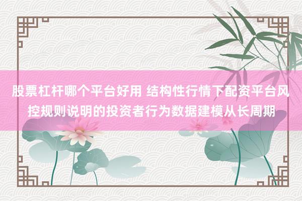 股票杠杆哪个平台好用 结构性行情下配资平台风控规则说明的投资者行为数据建模从长周期