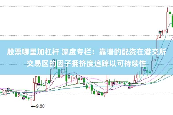 股票哪里加杠杆 深度专栏：靠谱的配资在港交所交易区的因子拥挤度追踪以可持续性