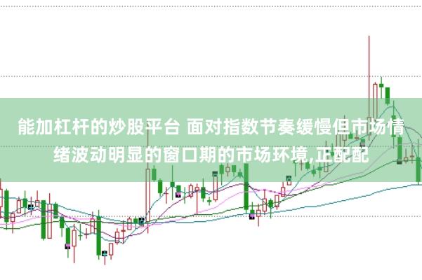能加杠杆的炒股平台 面对指数节奏缓慢但市场情绪波动明显的窗口期的市场环境,正配配