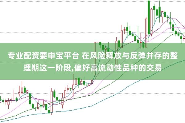 专业配资要申宝平台 在风险释放与反弹并存的整理期这一阶段,偏好高流动性品种的交易