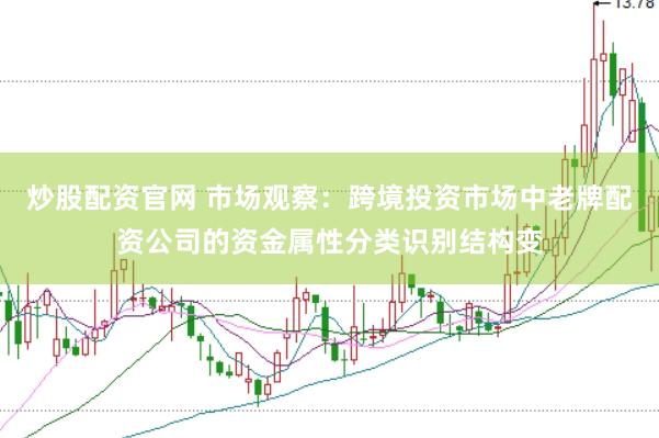 炒股配资官网 市场观察：跨境投资市场中老牌配资公司的资金属性分类识别结构变