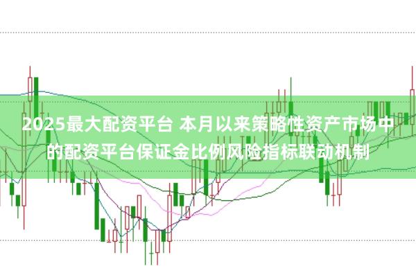 2025最大配资平台 本月以来策略性资产市场中的配资平台保证金比例风险指标联动机制