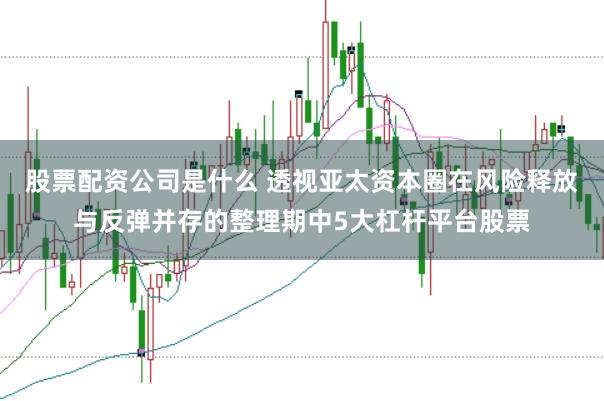 股票配资公司是什么 透视亚太资本圈在风险释放与反弹并存的整理期中5大杠杆平台股票