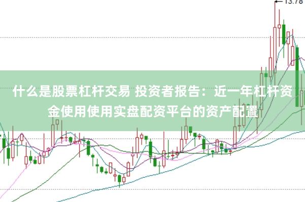 什么是股票杠杆交易 投资者报告:近一年杠杆资金使用使用实盘配资平台的资产配置
