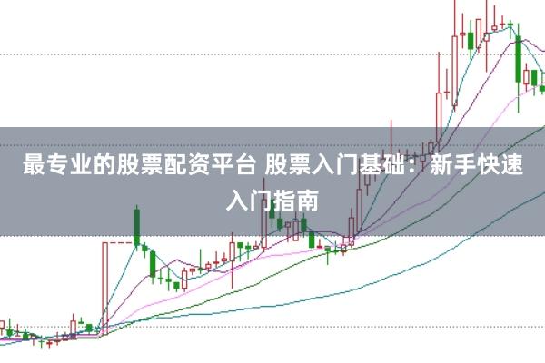 最专业的股票配资平台 股票入门基础:新手快速入门指南