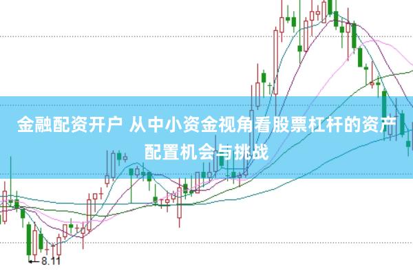 金融配资开户 从中小资金视角看股票杠杆的资产配置机会与挑战