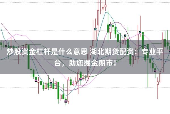 炒股资金杠杆是什么意思 湖北期货配资：专业平台，助您掘金期市！