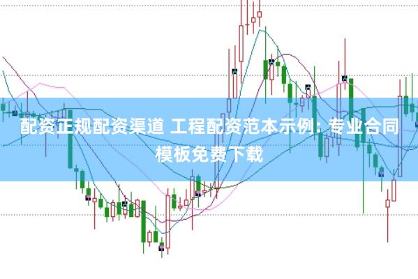 配资正规配资渠道 工程配资范本示例: 专业合同模板免费下载