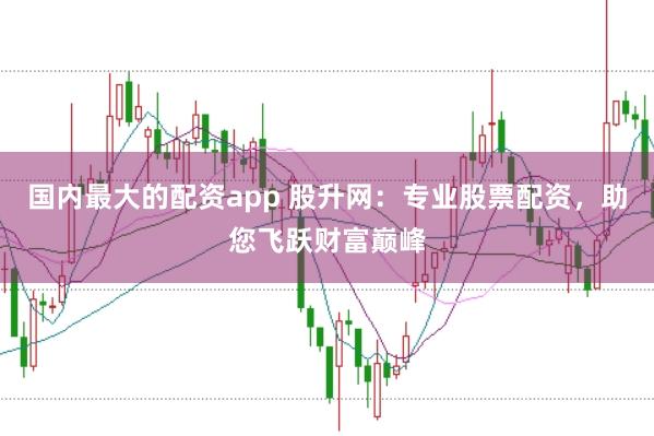 国内最大的配资app 股升网：专业股票配资，助您飞跃财富巅峰