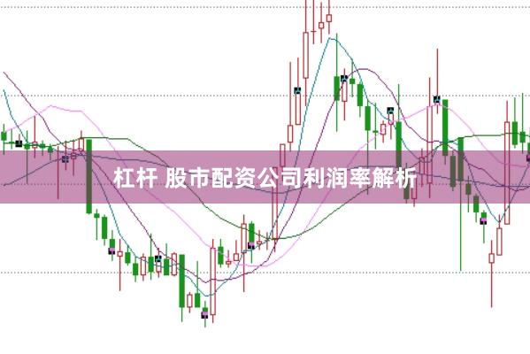 杠杆 股市配资公司利润率解析