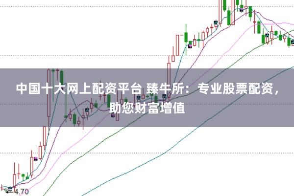 中国十大网上配资平台 臻牛所：专业股票配资，助您财富增值