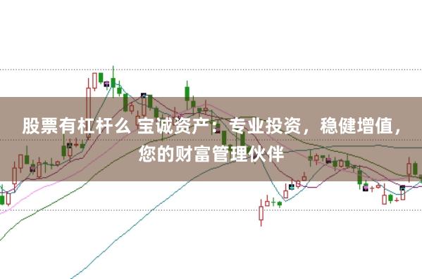 股票有杠杆么 宝诚资产：专业投资，稳健增值，您的财富管理伙伴