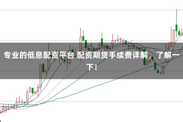 专业的低息配资平台 配资期货手续费详解，了解一下！
