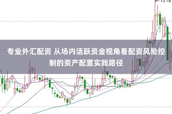 专业外汇配资 从场内活跃资金视角看配资风险控制的资产配置实践路径
